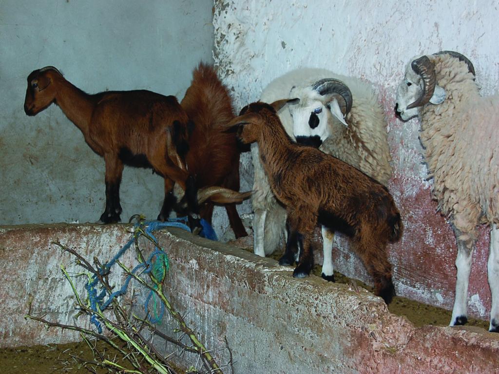 Gite Souss Oulad Teïma Exterior foto
