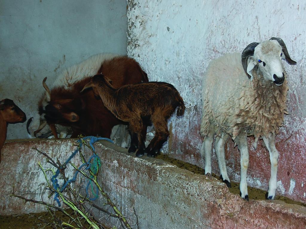 Gite Souss Oulad Teïma Exterior foto